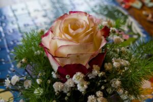 Asparagus Kranz selber machen: Dein Guide für die filigrane Eleganz im Urban Jungle